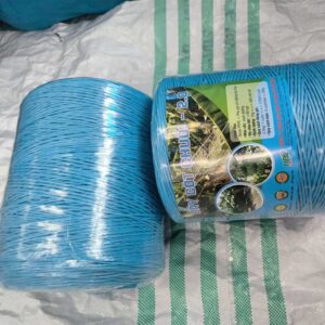 Dây nhựa PP cột cành sầu riêng