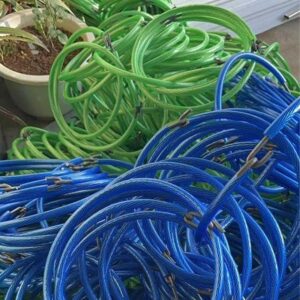 Vòng neo cành sầu riêng